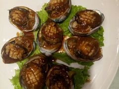 红烧鲍鱼-添福来墨鱼饺子 · 海鲜东北菜(泡崖店)