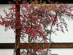 -京都御所
