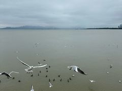 -深圳湾公园(南山区)