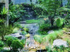 -东莞植物园