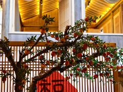 -叶叶菩提·晋福宫