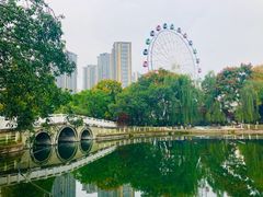 -塔子山公园