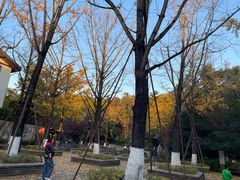 -杭州半山国家森林公园