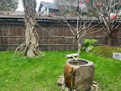 -新荣记(西溪湿地店)