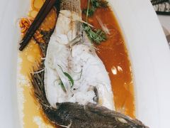 -煎饼卷大葱·非遗传承·潍坊菜(十笏园店)