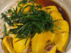 -熠盛粤味·顺德桑拿鸡(永康路店)