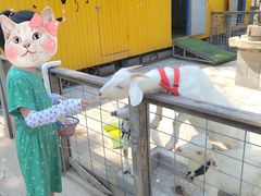 -前小桔亲子创意农场·草莓采摘·露营烧烤