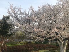 -大蜀山国家森林公园