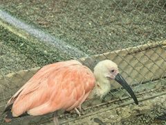 -青藏高原野生动物园