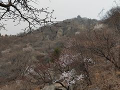 -北京鹫峰国家森林公园