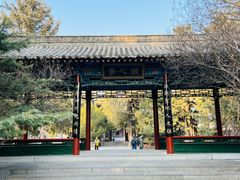 -黄帝陵
