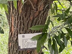 -广州市白云山风景名胜区