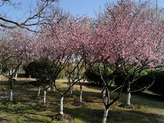 -白塘生态植物园