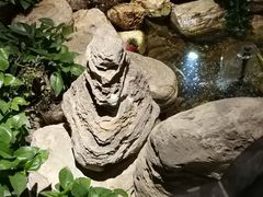 -清真·京华源铜锅涮肉(丰庆店)