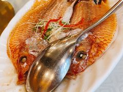 清蒸红斑鱼-顺峰海鲜酒楼(省府店)