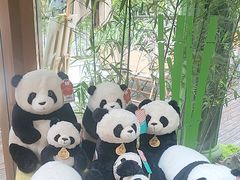 -轩客会(熊猫书店)