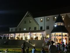 -大塘金香草谷