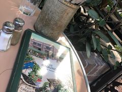 -The Grounds of Alexandria