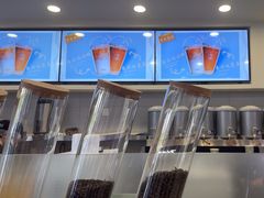 -雾与山茶(大禹城店)