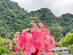 -三清山锦琛山庄