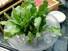 -王家渡火锅店(棕榈泉店)