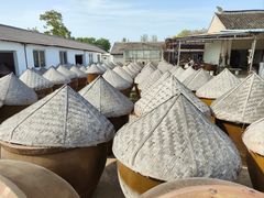 -苏州市吴中区光福窑上花果蜜饯厂