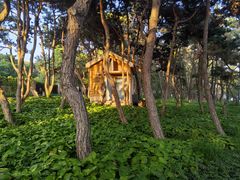 -老虎石海上公园