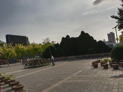-莲花池公园