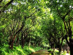 -广州莲花山旅游区