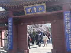 -桃花堤公园