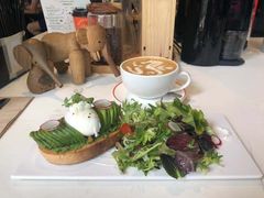 -Elephant Grounds(STARSTREET)