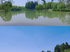 -海淀公园