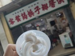 -洪馨椰子