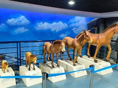 -吉林省自然博物馆