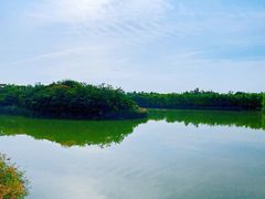 -塘沽森林公园