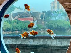-珠海圆明新园