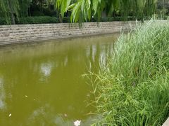 -春风习习