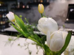 -素格婚礼