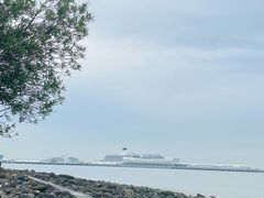 -吴淞炮台湾湿地森林公园烧烤区