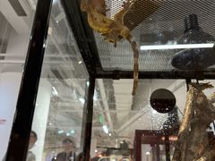 -上海昆虫博物馆