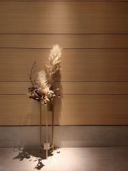 -恒美雅轩·品牌直营连锁