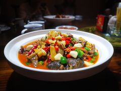 野生甲鱼-兄弟宁乡龙城(麓景路店)