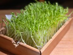 -大头椰·椰子鸡火锅(南宁万象城店)