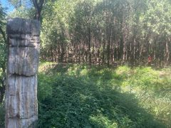 -北宫国家森林公园