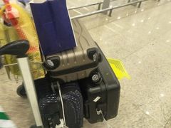 -上海浦东国际机场长途汽车客运站