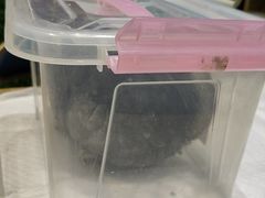 -雨林宠物医院 非犬猫异宠专科