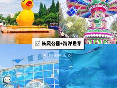 -上海乐高探索中心