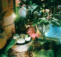 -恐龙探索乐园(磁器口店)