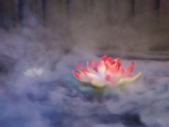 -韶山毛泽东同志故居