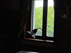 -青岛德国总督楼旧址博物馆